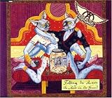 Aerosmith - Falling in Love