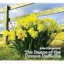 Dance of the Demon Daffodils