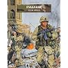 Fallujah: Iraq 2004