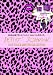 BETSEY JOHNSON 2010 FALL ＆ WINTER COLLECTION (e-MOOK)