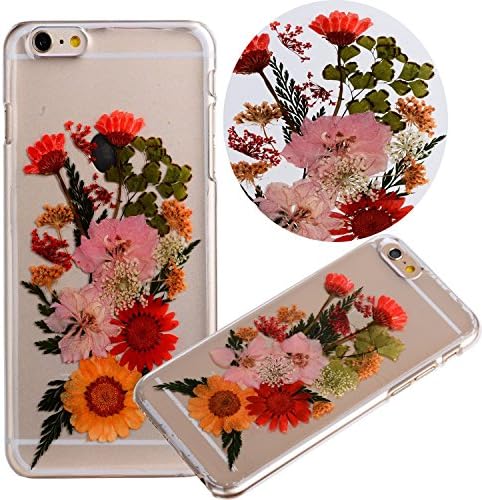 Custom Daisy Floral Real Pressed Flowers Phone Case for iPhone 6 Plus/6sPlus 5.5inch-C1