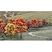 Woodland Scenics Fall Deciduous Value Pack Ready Made Trees 3/4
