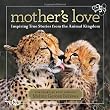 Mothers Love: Inspiring True Stories From the Animal Kingdom
