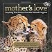 Mother's Love: Inspiring True Stories From the Animal Kingdom