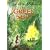 The Green Ship (Red Fox picture books)