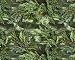 Camowraps 4 x 5-Feet All Purpose Camouflage Sheet