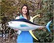 Giant Taxidermy Quality Yellow Fin Tuna Fish Wall Mount