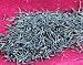 Chervil Sprouting Seeds 10 Grams