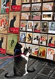 Chat Noir Cat Print