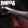 Image of album by Pantera