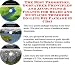 The Best Promotion, Godfather Principles and Accounting & Finance for Beard And Mustache Trimmers On-line Biz Package (3 CDs)