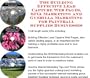 The Guerilla Marketing, Building Effective Lead Capture Web Pages, SIVA Marketing for Paintball Supplies Businesses