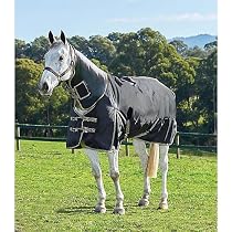 WB Original 1680 Detach Neck Med Blanket 78
