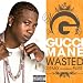 Wasted [Feat. Plies] [Remix] (Explicit Version)