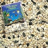 Worldwide Imports AWW30085 Natural Gravel, 5-Pound, Rainbow Jems