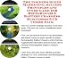 The Insider's Super Marketing, Success Principles and Inner Game for Rechargeable Bat...