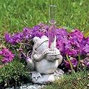 Regenmesser Frosch