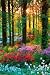 Flower Forest Poster Print, 24x36 Collections Poster Print, 24x36