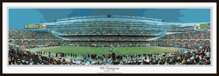 Buy Chicago Bears Panoramic - NFC Champions Framed by Sports Memorabilia LLC