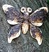 Outdoor Living : Butterfly, Tree Ormament - Give Your Trees Personality