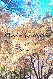 Pemberley Undone