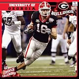 2012 Georgia Bulldogs 12 x 12 Wall