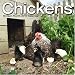 CHICKENS 2010 Wall Calendar #30425-10