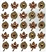 Jolee's Boutique Dimensional Stickers, Fall Leaves