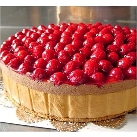 �ō����m�َq �t�����X�̖��� ���@���g�x�[�� �؂������`���R���[�g�P�[�L ���a�P�Tcm