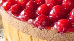 �ǹ���βۻ� �ե�󥹤��ò� ������ȥ١��� �ڤ��������祳�졼�ȥ����� ľ�£���cm