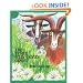 The Three Billy Goats Gruff