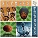 The Nutmegs vs. the Turbans
