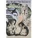 Haa Shuk�, Our Ancestors: Tlingit Oral Narratives (Classics of Tlingit Oral Literature)