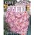 Kaffe Fassett's Quilt Romance