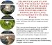 Book Massive Cash Flow Pack with Earn More Money, Inner Game and Sales Models for Snowboarding Goggles On-line Businesses 3 Course Pack