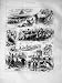 1873 Bipeds Quadrupeds Barnet Fair Horses Cattle Dogs