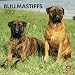 Bullmastiffs 2012 Square 12X12 Wall Calendar (Multilingual Edition)