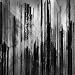 Vertikal (limited edition)