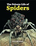 The Private Life of Spiders