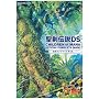�����`��DS CHILDREN of MANA�����R���v���[�g�K�C�h (SE-MOOK)