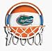 PTC Intl 03061 University Of Florida Gators Neon Basketball Hoop