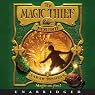 The Magic Thief: Found