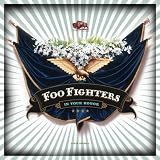 In Your Honor [Vinyl]
