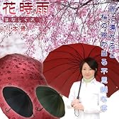 2009年新作♪桜の浮き出る蛇の目傘 『花時雨 KA1-03　グリーン』 24本骨手開き傘/桜宴舞