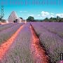 365 Days In Provence 2004 Wall Calendar