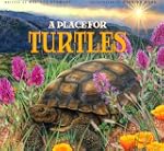 A Place for Turtles