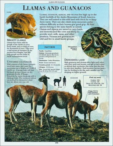Cover image : Animal Encyclopedia