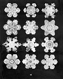 Review Dover Publications Inc.  / Bentley's Snowflakes (Dover Electronic Design)