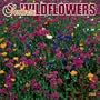 Southern Wildflowers 2004 Calendar