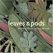 Leaves and Pods